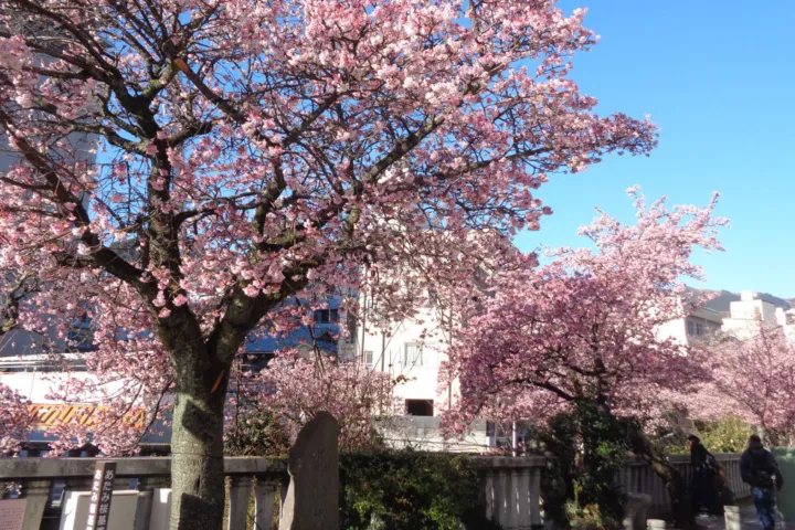 糸川遊歩道