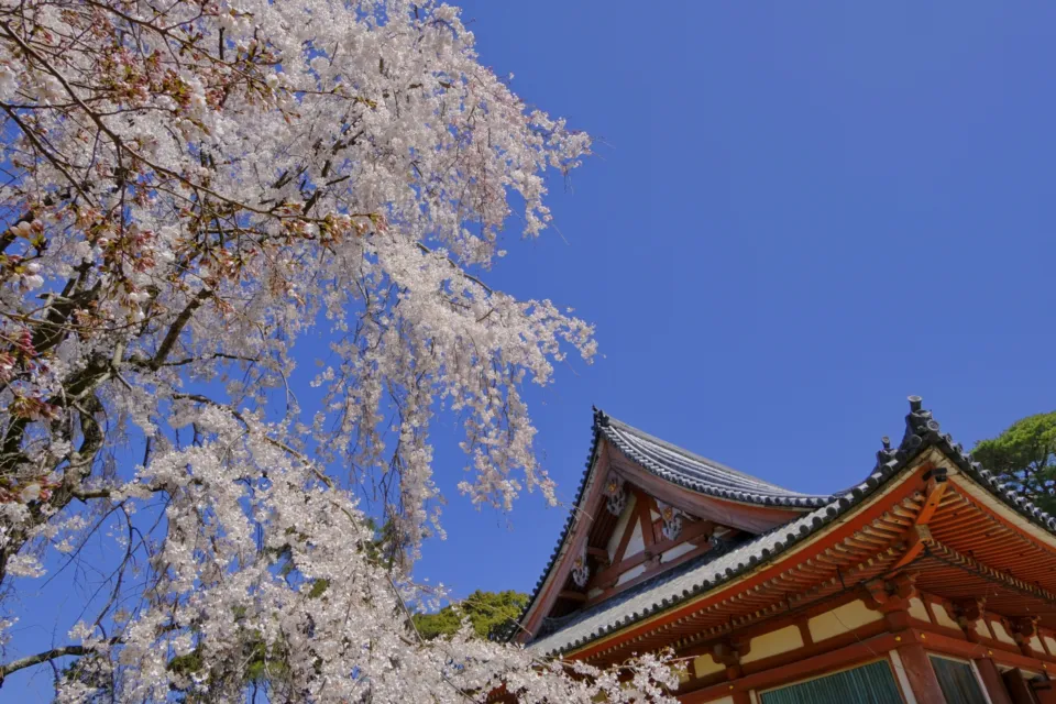 醍醐寺