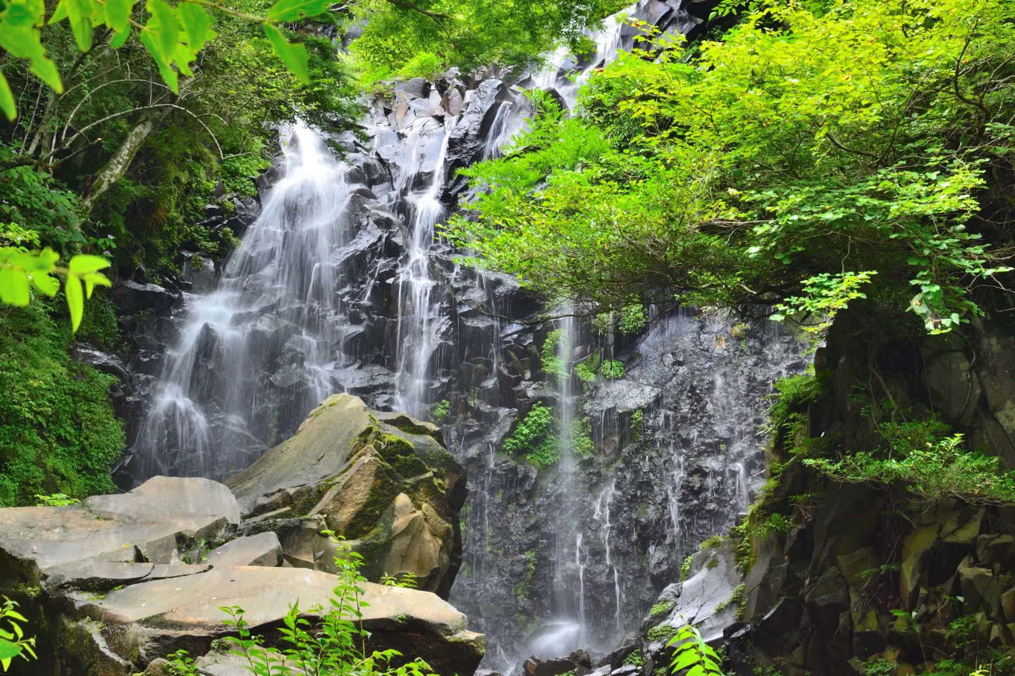箱根飛龍の滝