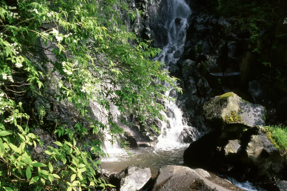 箱根飛龍の滝