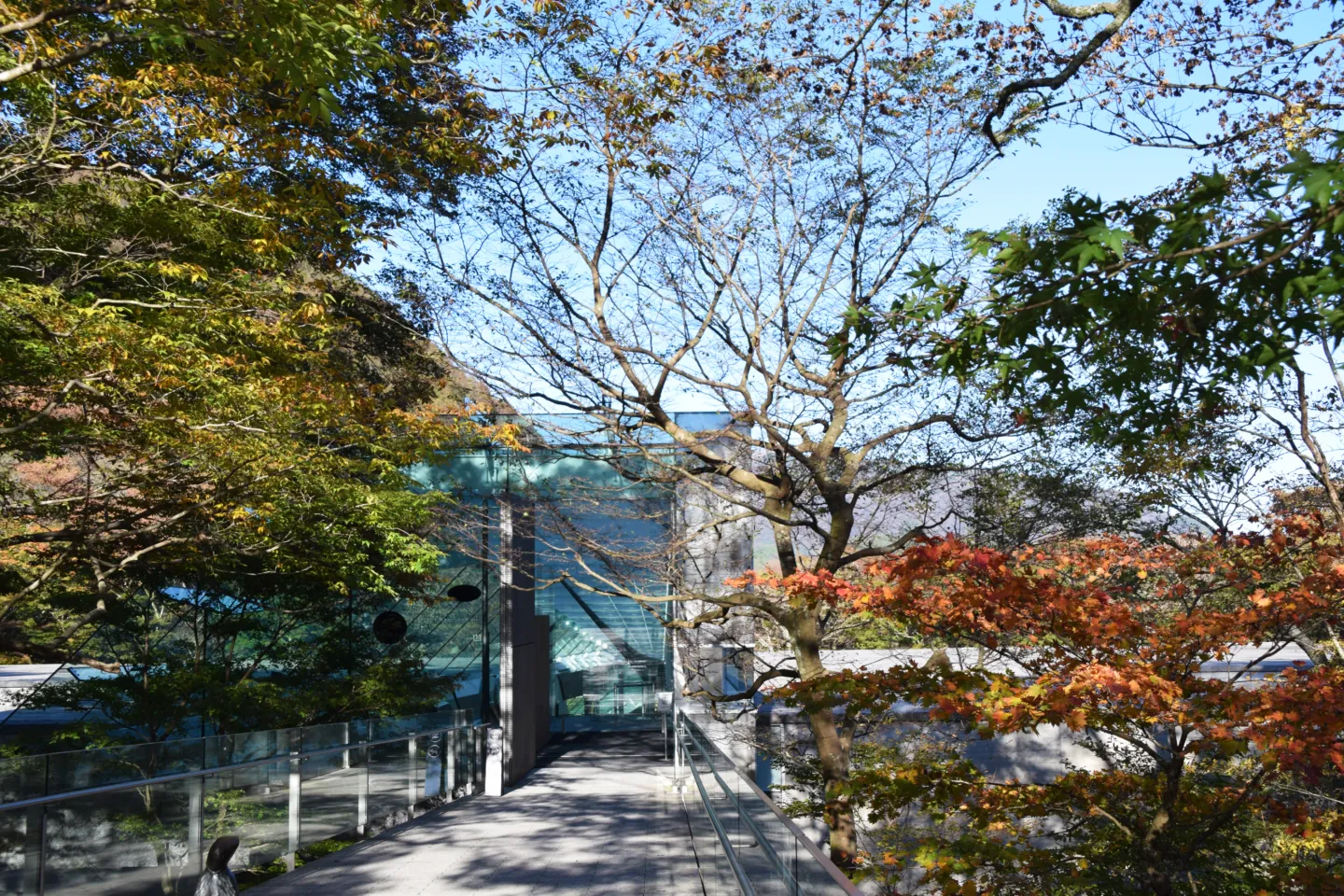 ポーラ美術館