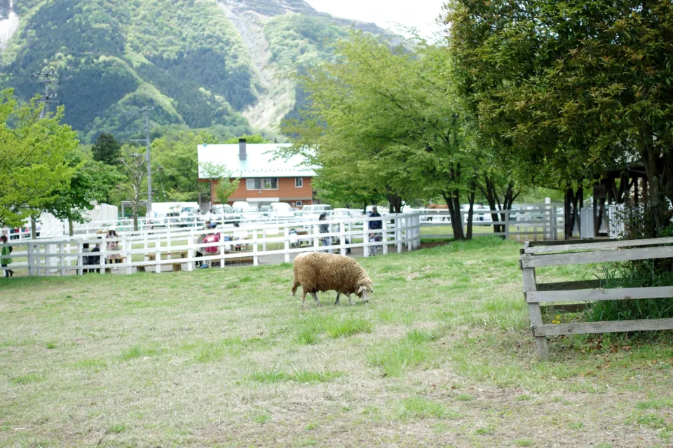 羊山公園