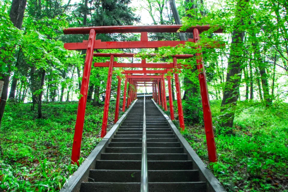 羊山公園