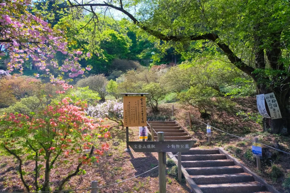 宝登山ロープウェイ