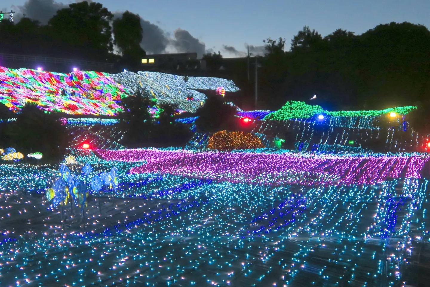 伊豆ぐらんぱる公園