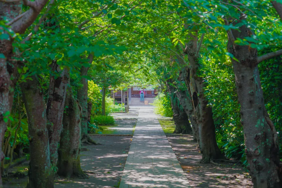 極楽寺(鎌倉)