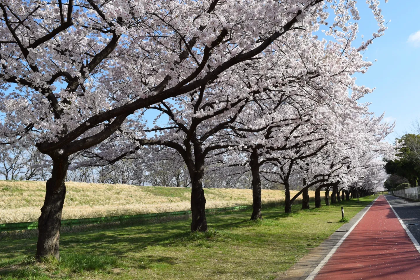 川越水上公園