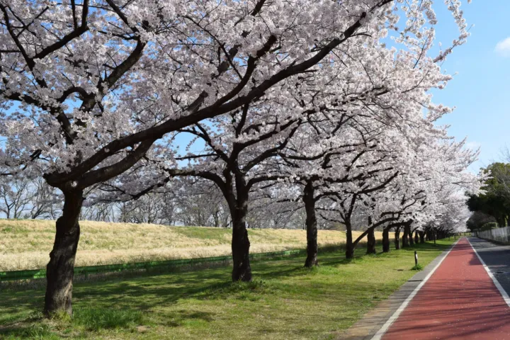 川越水上公園