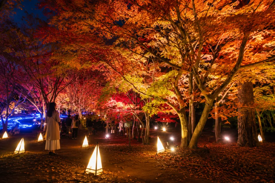 国営武蔵丘陵森林公園