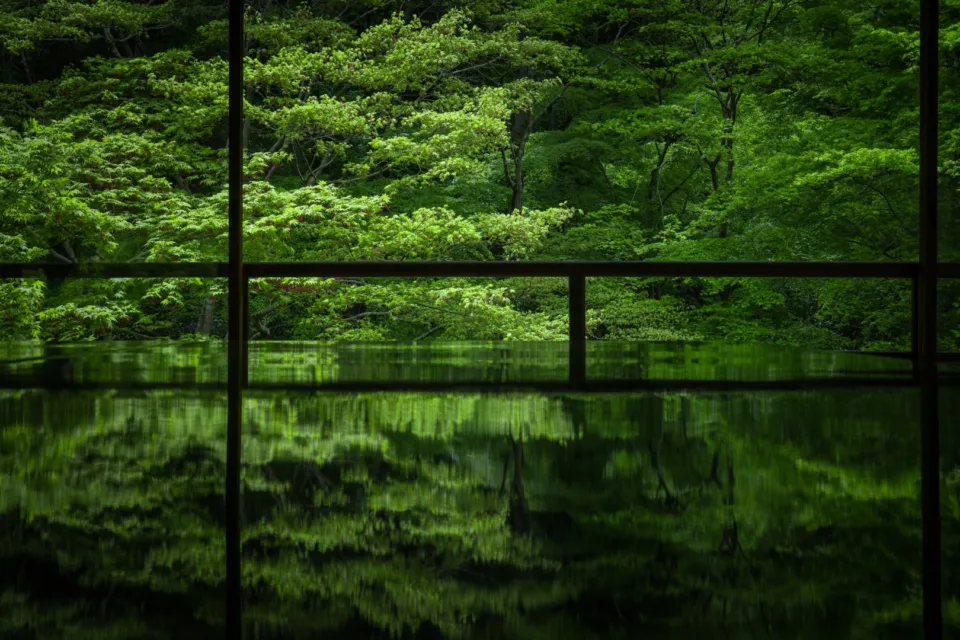 瑠璃光院