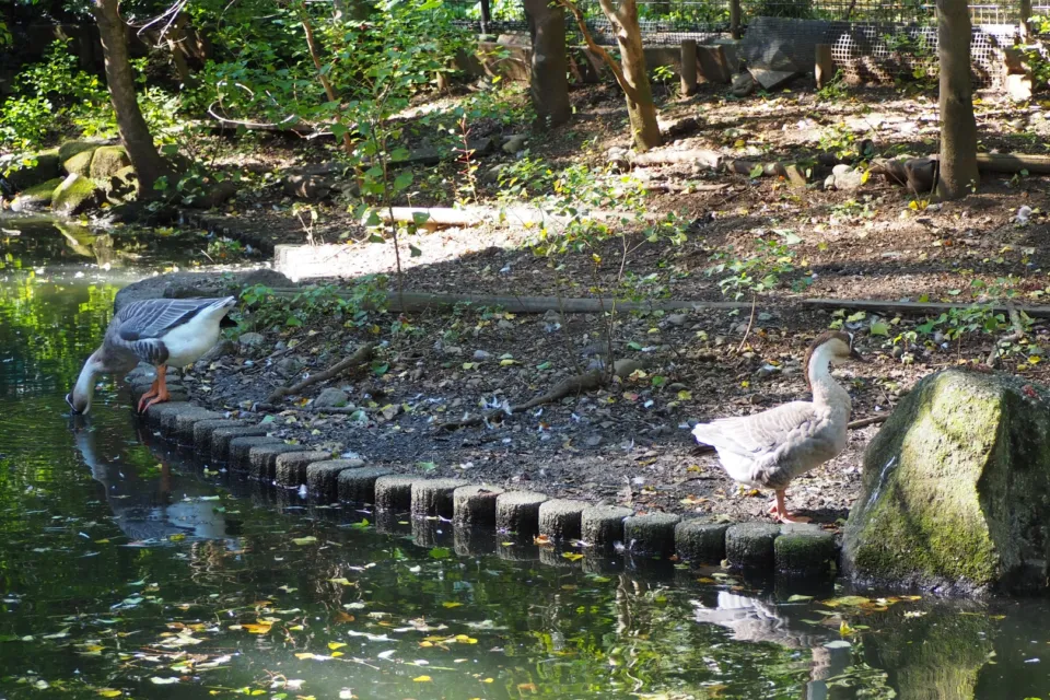 埼玉県こども動物自然公園