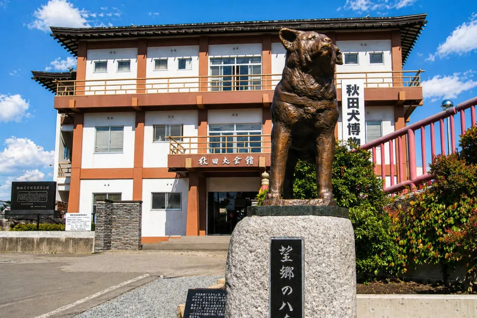 秋田犬会館