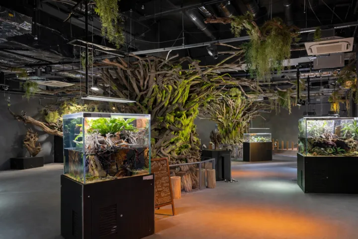 AQUARIUM × ART atoa