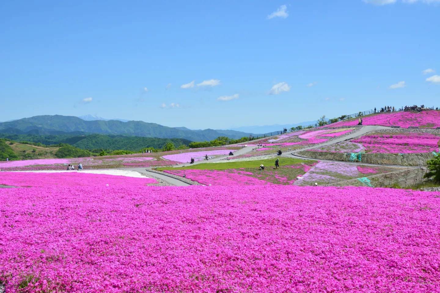 茶臼山高原