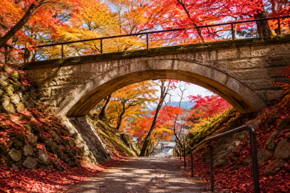 烏帽子山公園
