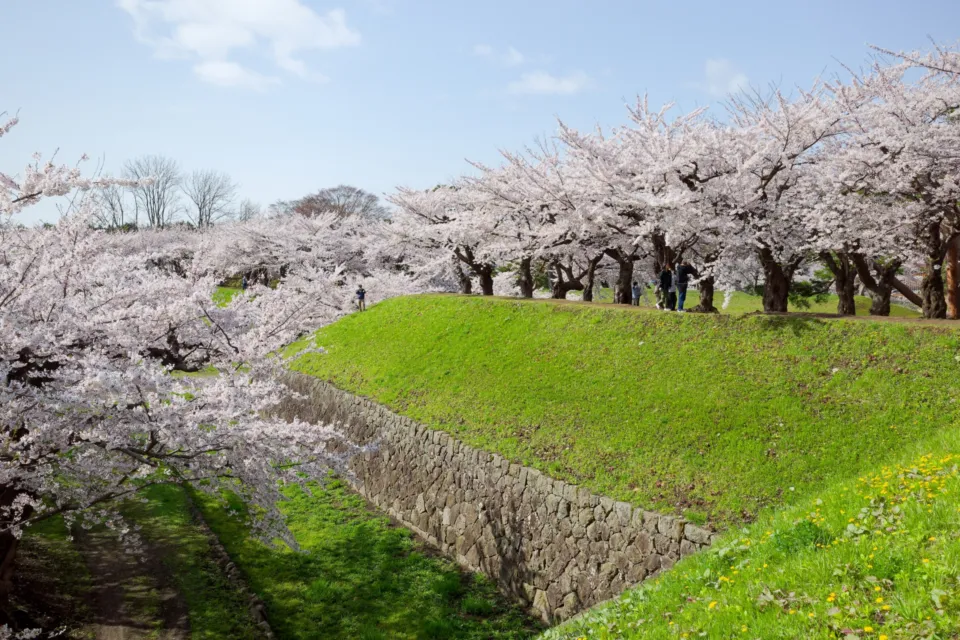 五稜郭公園