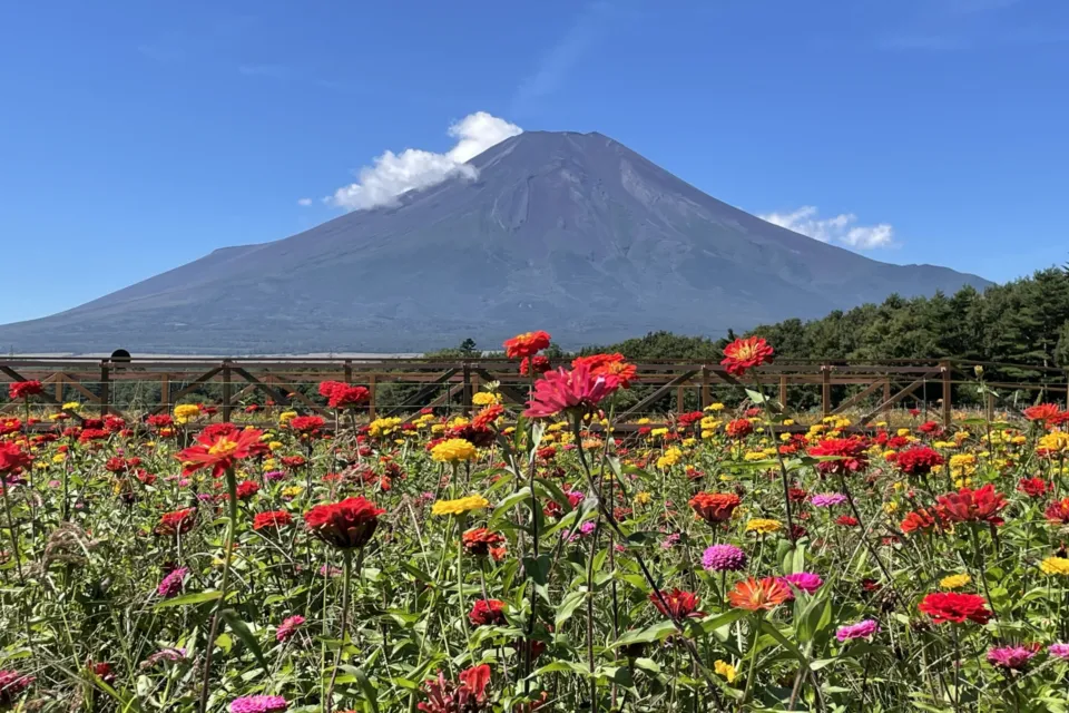 花の都公園