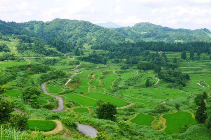 星峠の棚田