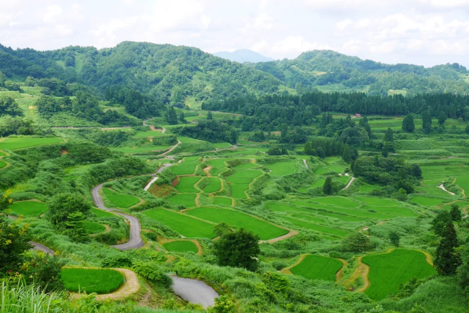 星峠の棚田