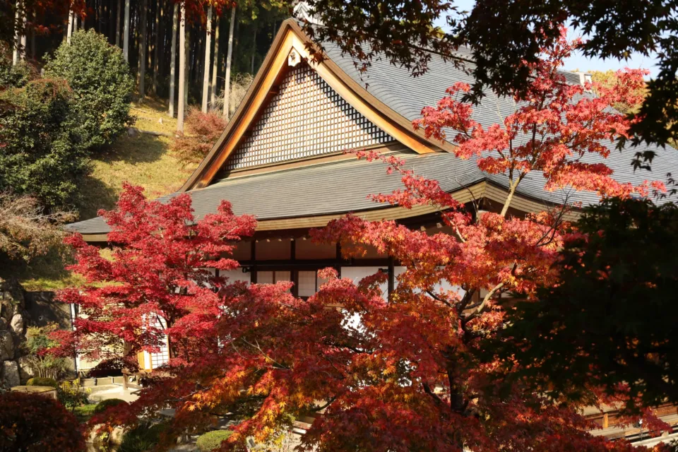 宝徳寺