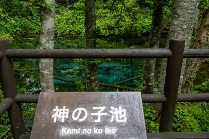 神の子池