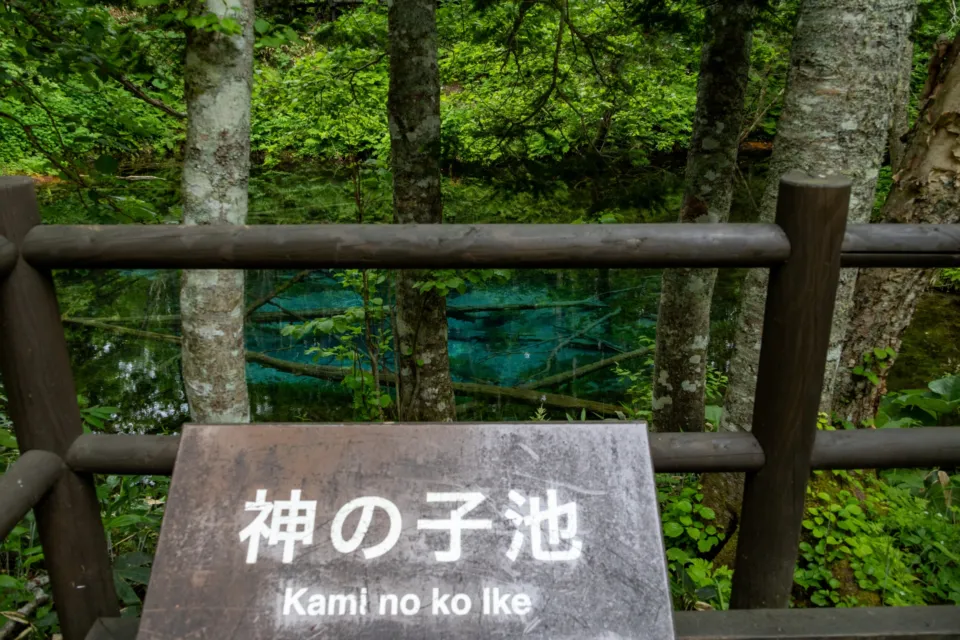 神の子池
