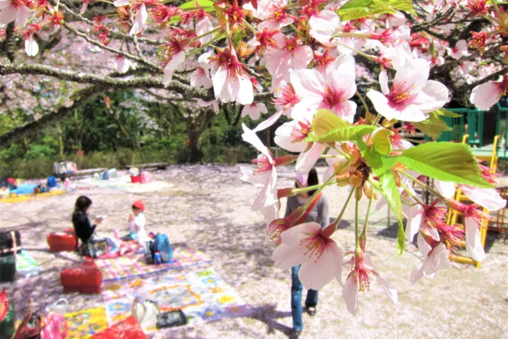 加茂山公園