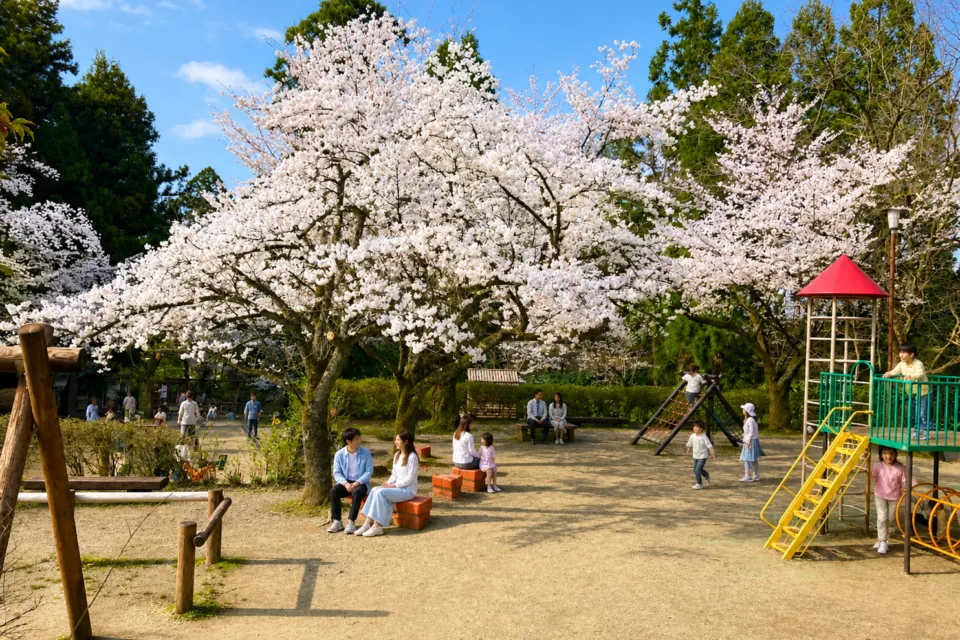 加茂山公園