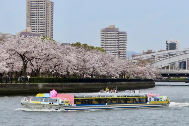 毛馬桜之宮公園