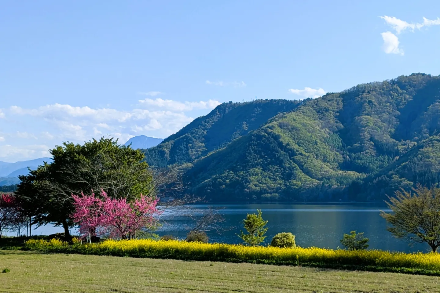 木崎湖