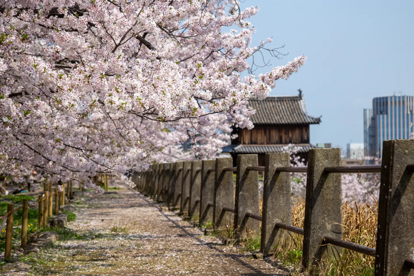 舞鶴公園