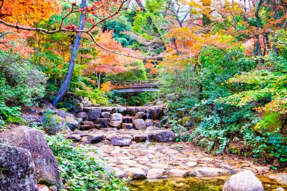 紅葉谷公園