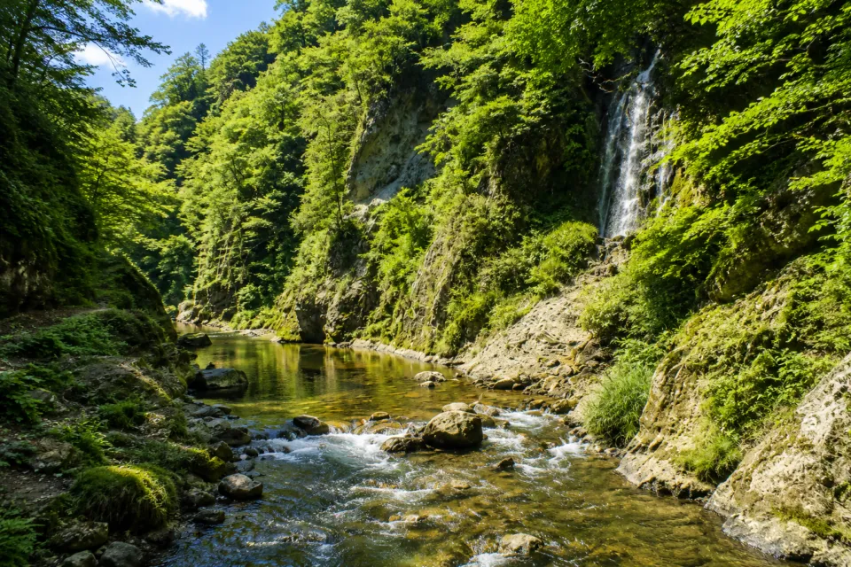 鳴子峡