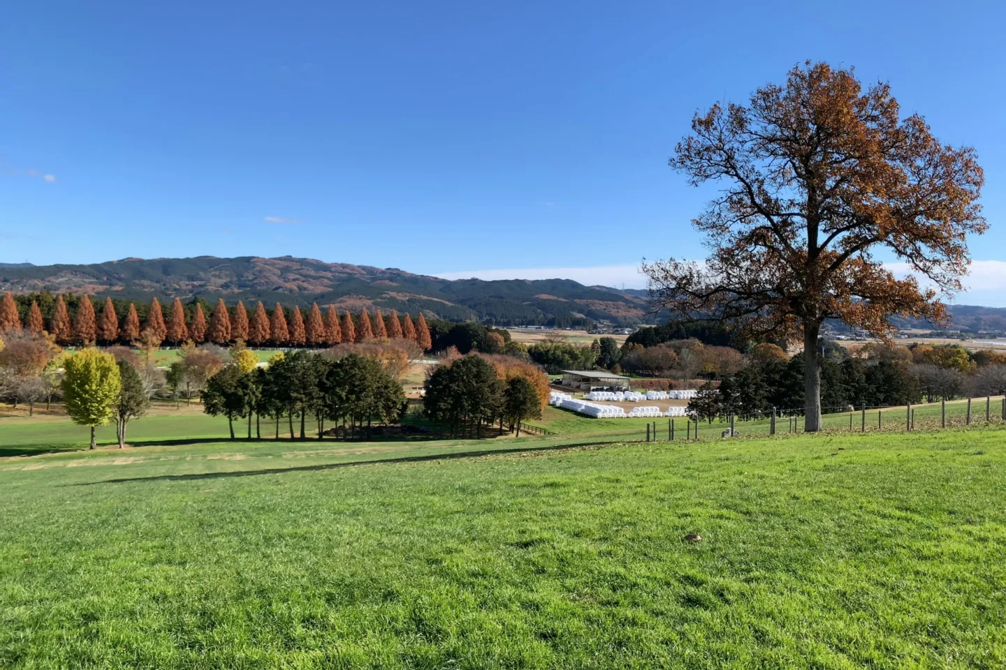 NASU FARM VILLAGE