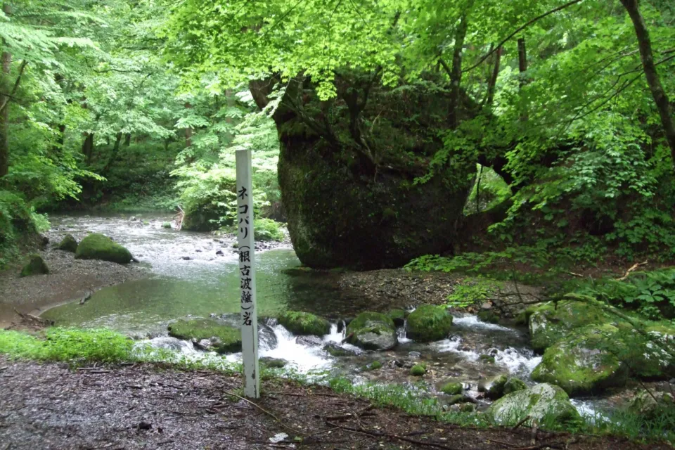 ネコバリ岩