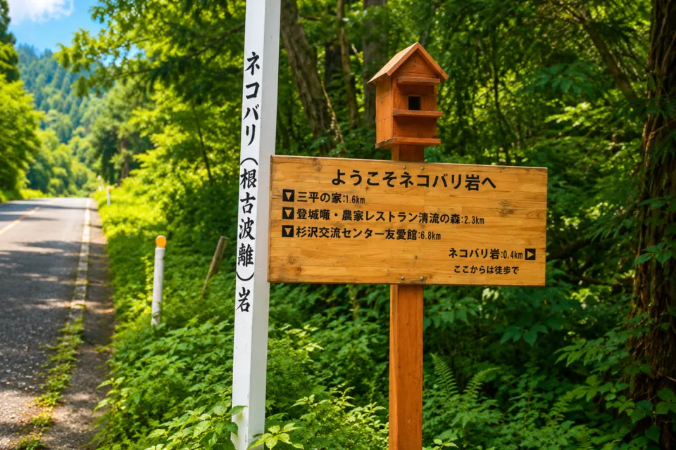 ネコバリ岩