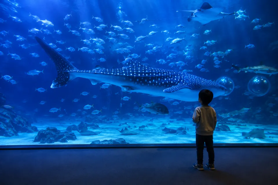 のとじま水族館