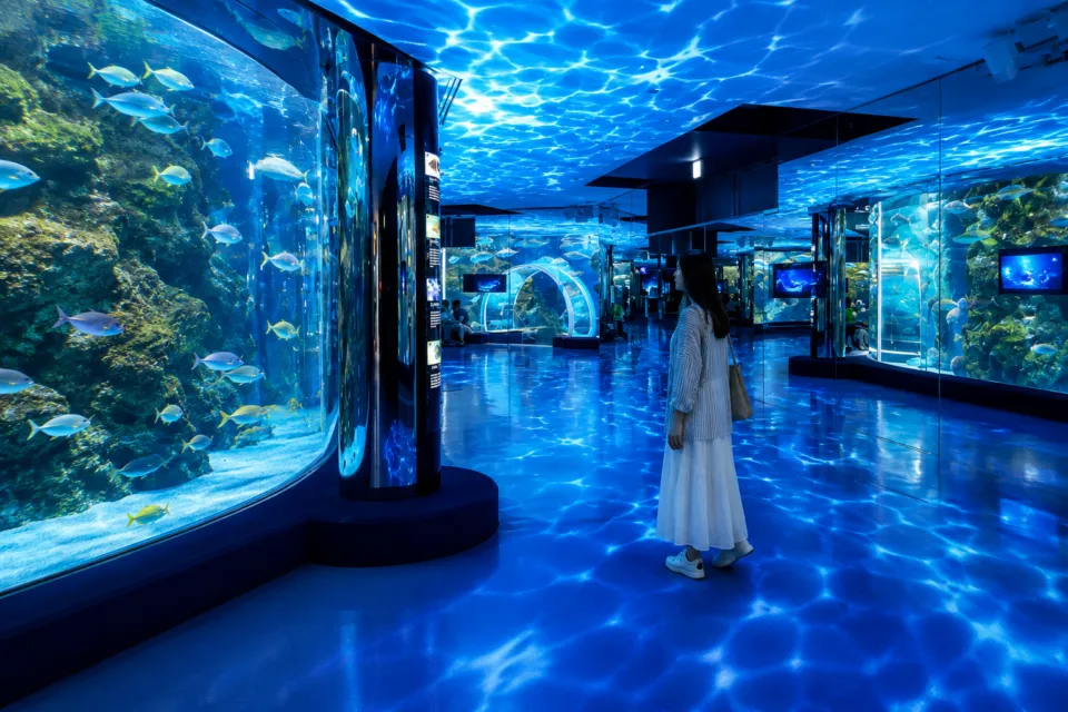 のとじま水族館