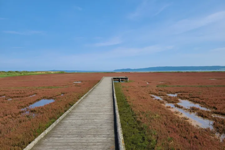 能取湖