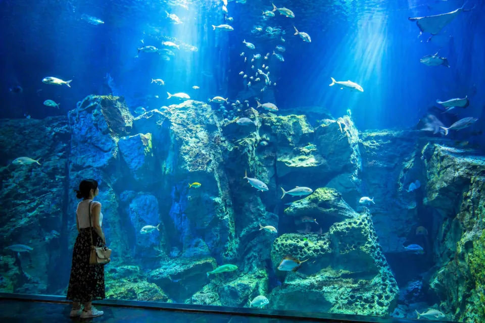 男鹿水族館GAO