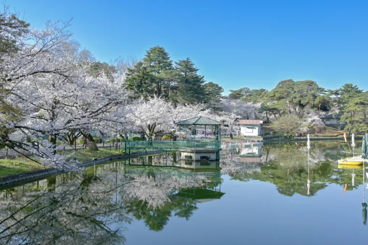 大宮公園