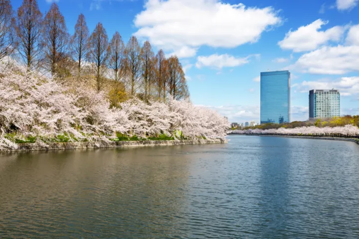 大阪城公園