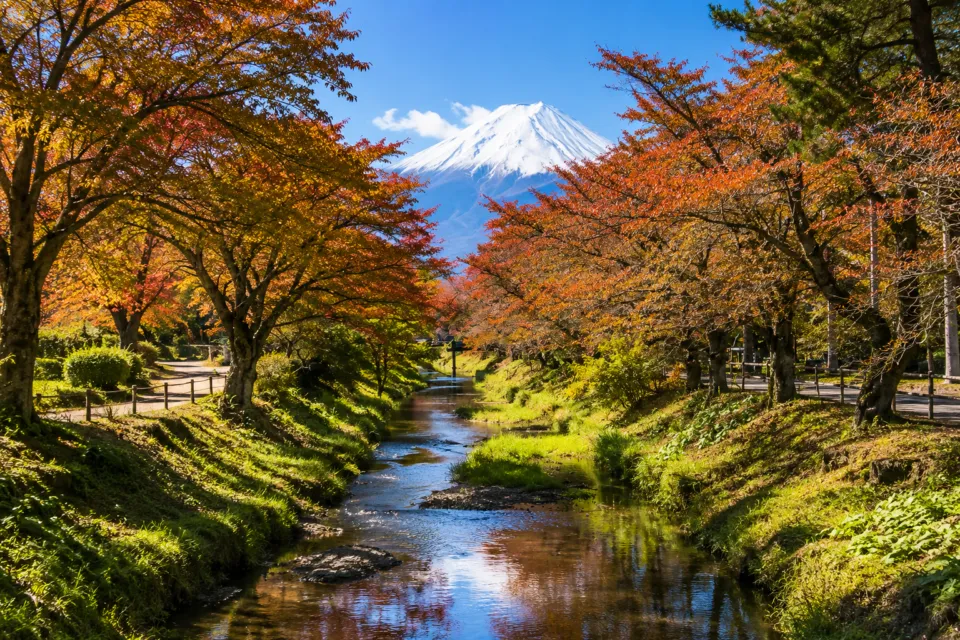 忍野八海