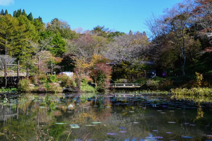 六甲高山植物園