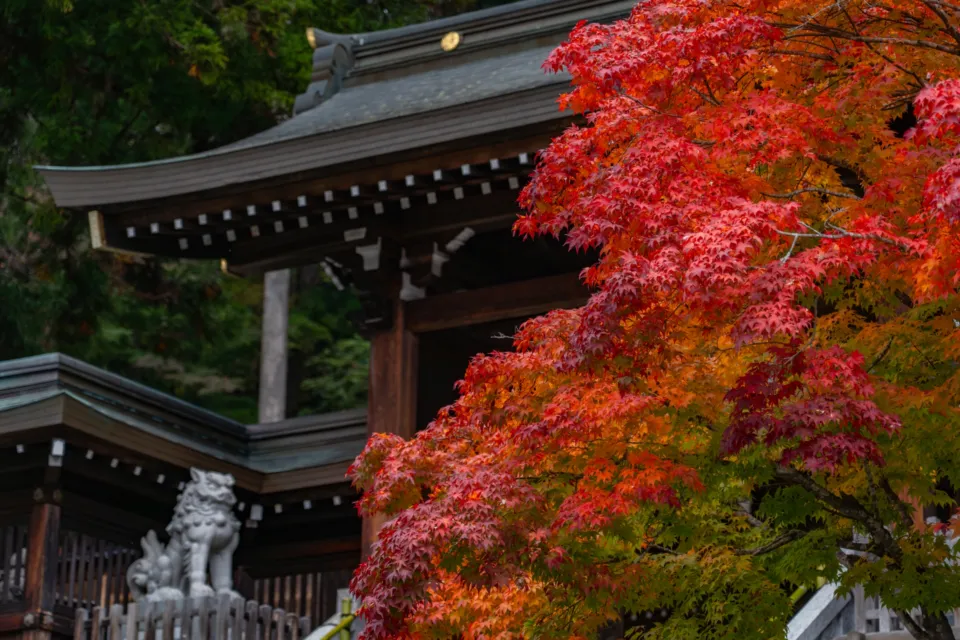櫻山八幡宮