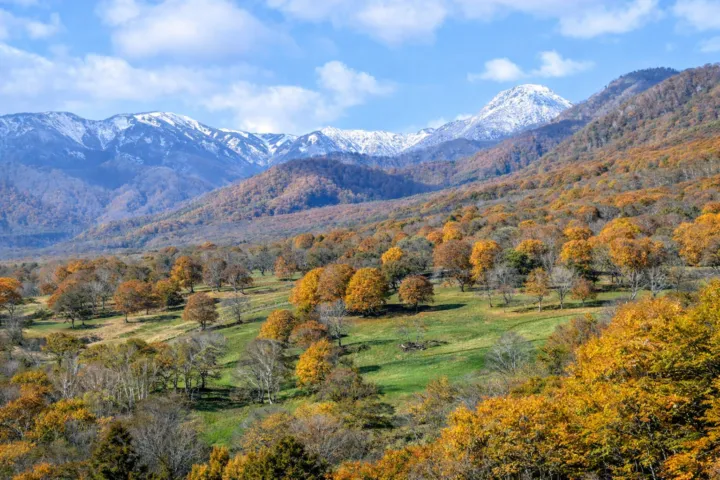 笹ヶ峰