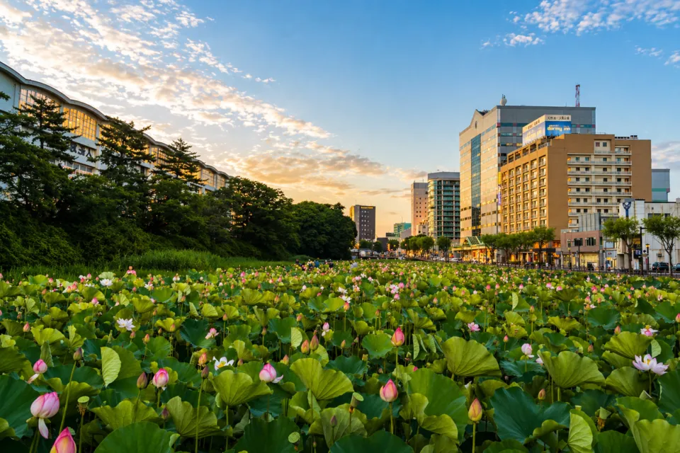 千秋公園