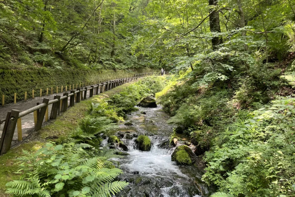 白糸の滝(軽井沢)