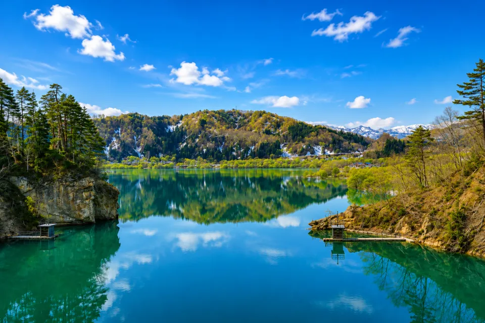 白川湖の水没林