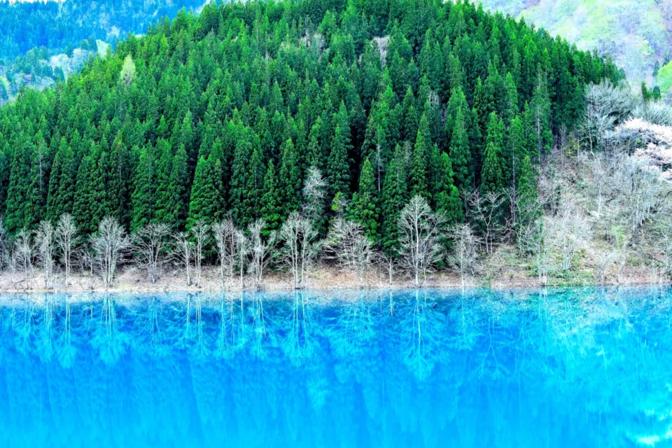 秋扇湖